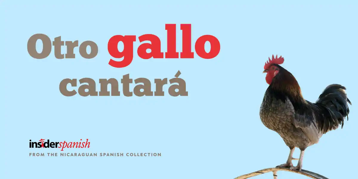Otro gallo cantará means That's another story in Nicaraguan Spanish