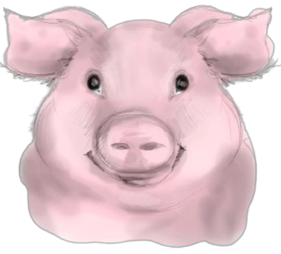 Pig Image